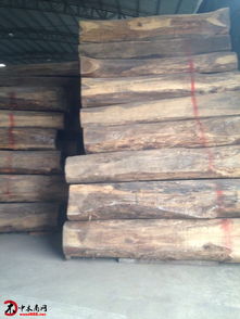 中印木材貿易新焦點 解讀“新貴紅木”闊葉黃檀的投資價值與市場前景